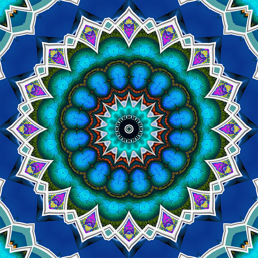 The Blue Collective 10 Digital Art by Wendy J St Christopher