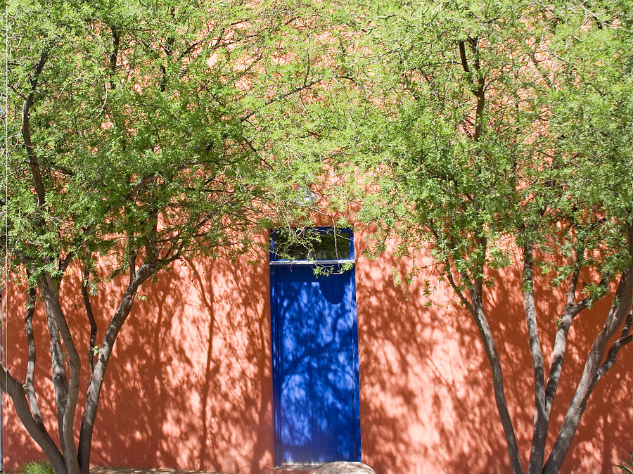 The Blue Door In Springtime Photograph by Elvira Butler