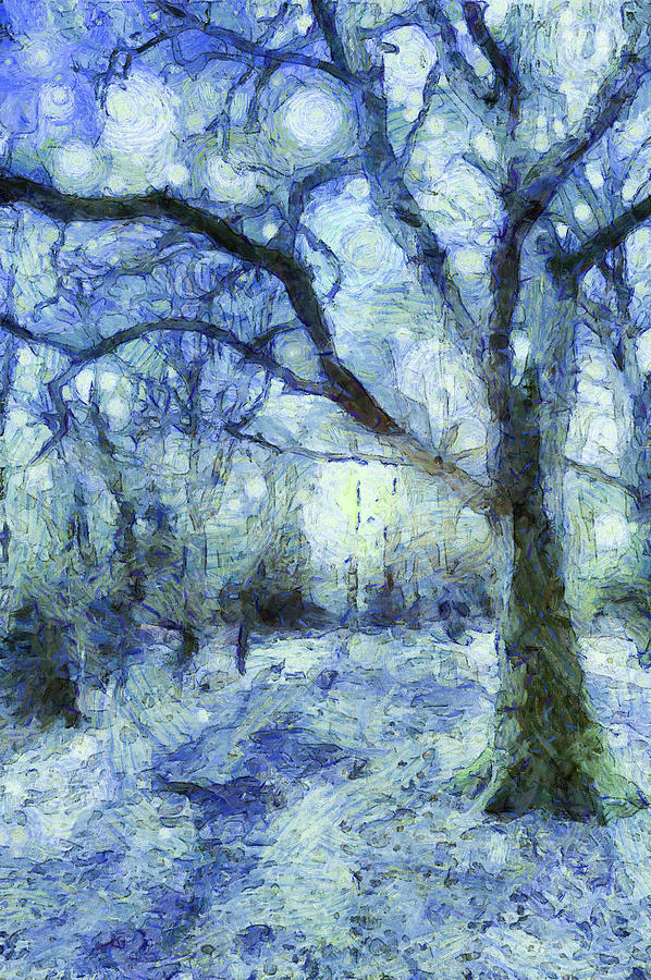 The Blue Forest Art Mixed Media by David Pyatt