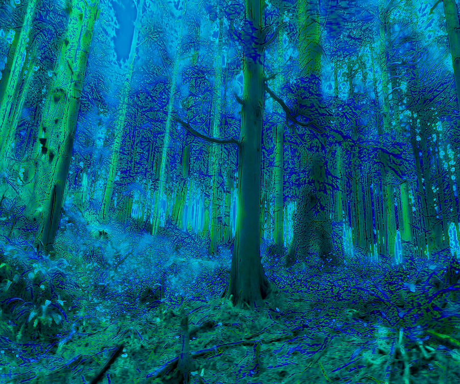 The Blue Forest Digital Art by Cathy Anderson