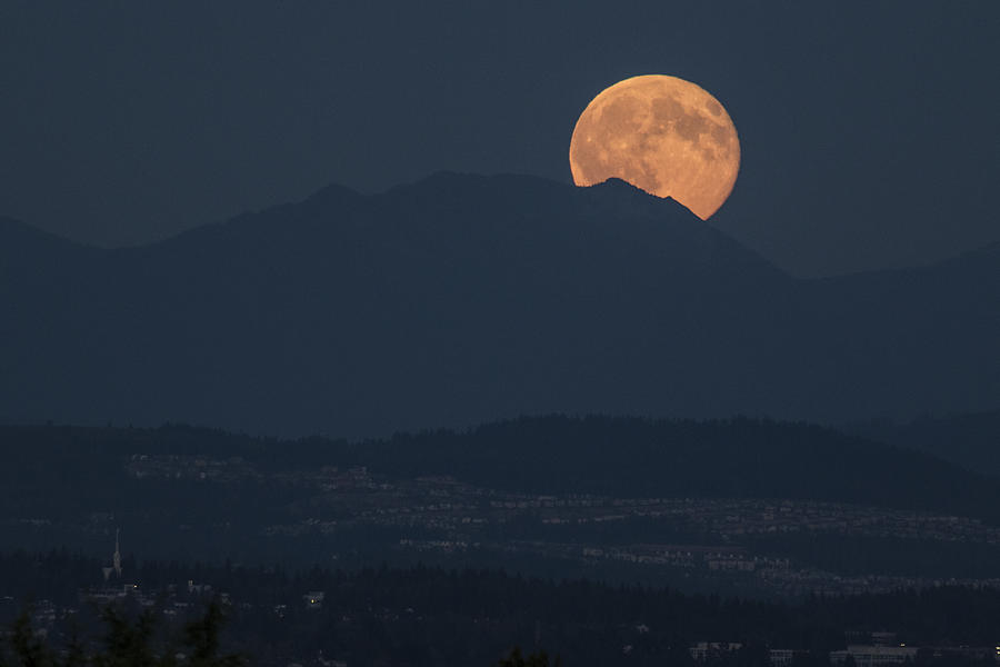 The Blue Moon Rising Photograph by Matt McDonald