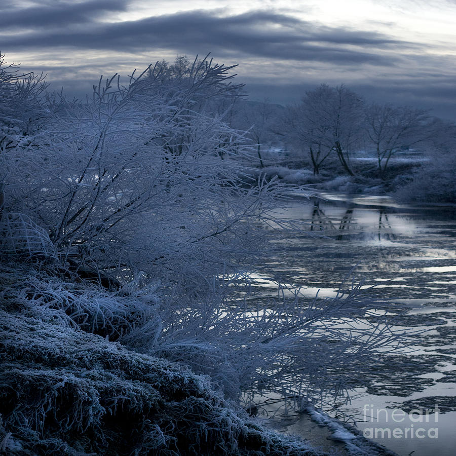 The Blue Morning Photograph by Ang El