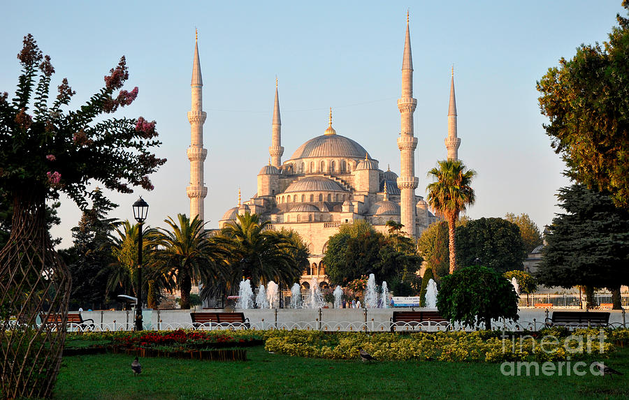The Blue Mosque Photograph by Andrew Dinh