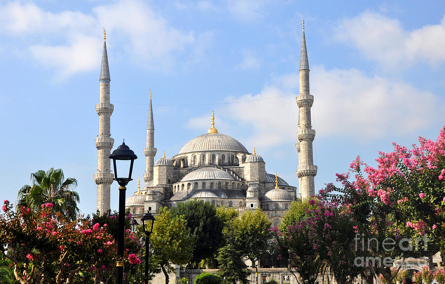 The Blue Mosque Close Up Photograph by Andrew Dinh