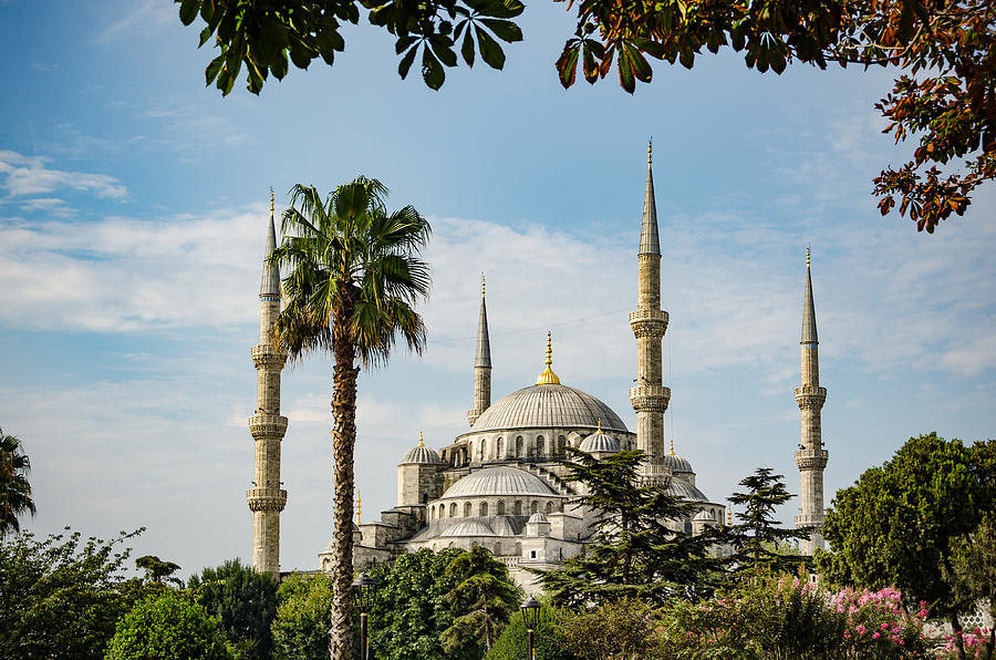 The Blue Mosque in Early Morning Photograph by Anthony Doudt