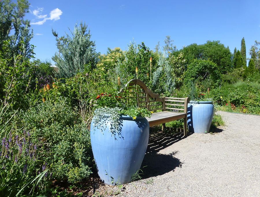 The Blue Pots Photograph by Claudia Goodell