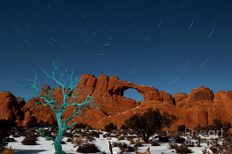 Arches National Park Photograph - The Blue Tree by Keith Kapple