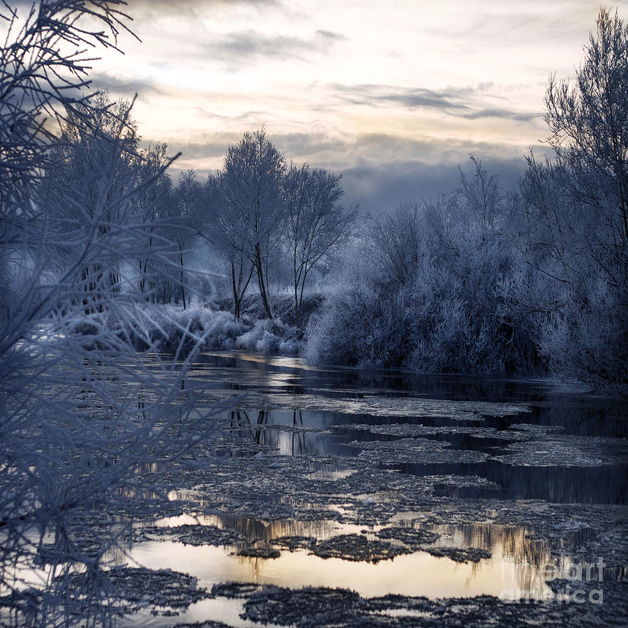 The Blue Winter Photograph by Ang El | Fine Art America