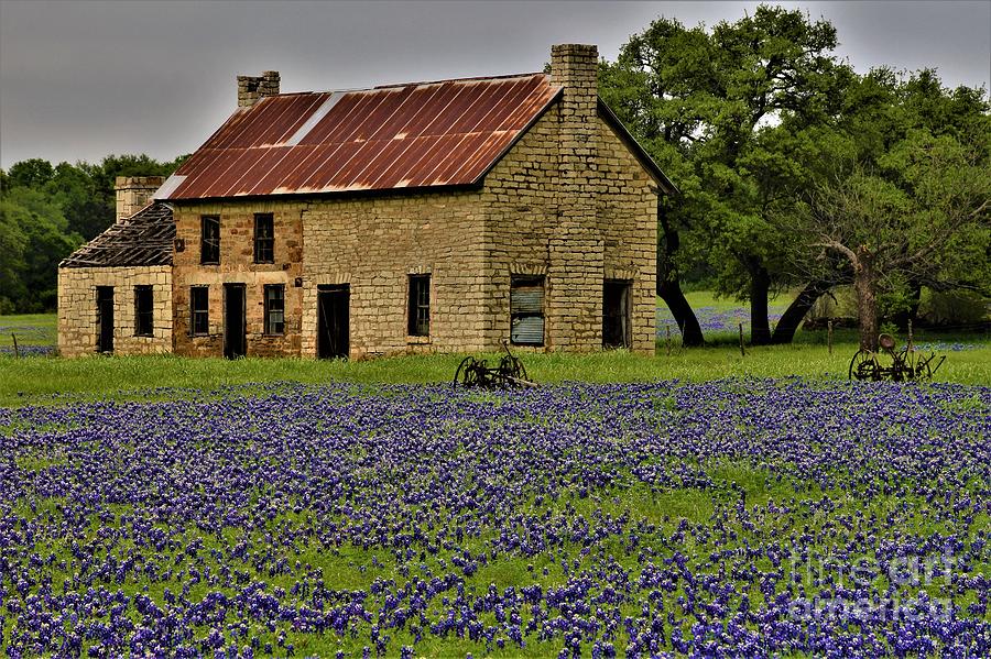 The Bluebonnet House Photograph by Dennis Nelson - Pixels