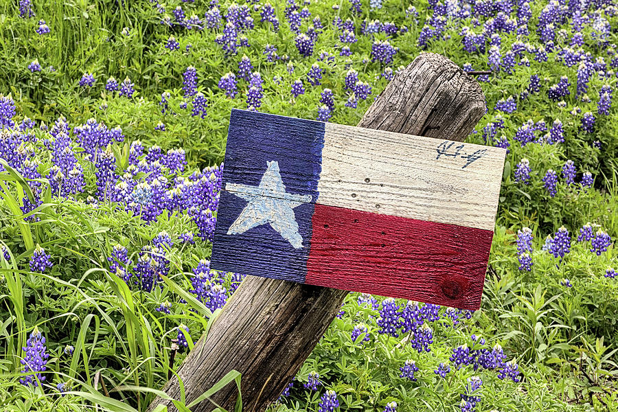 The Bluebonnet Trail in Ennis with a Texas Flag Photograph by JC Findley