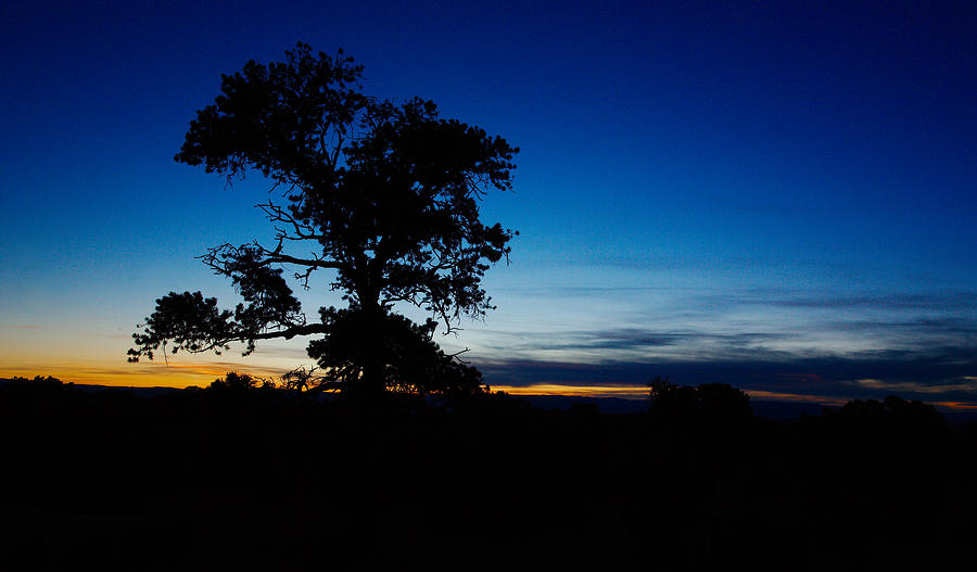 The Blues of Dusk Photograph by David Andersen