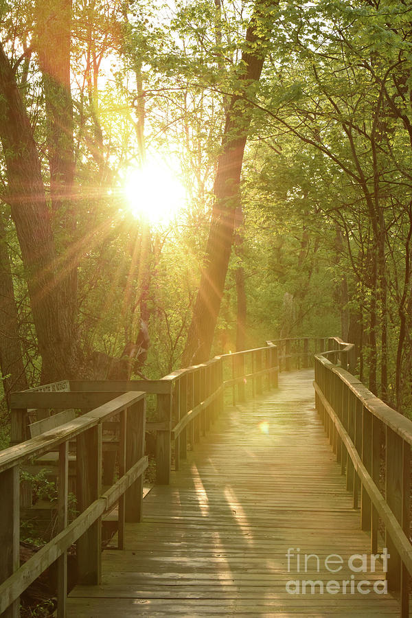 The Boardwalk by Charles Owens The Boardwalk by Charles Owens