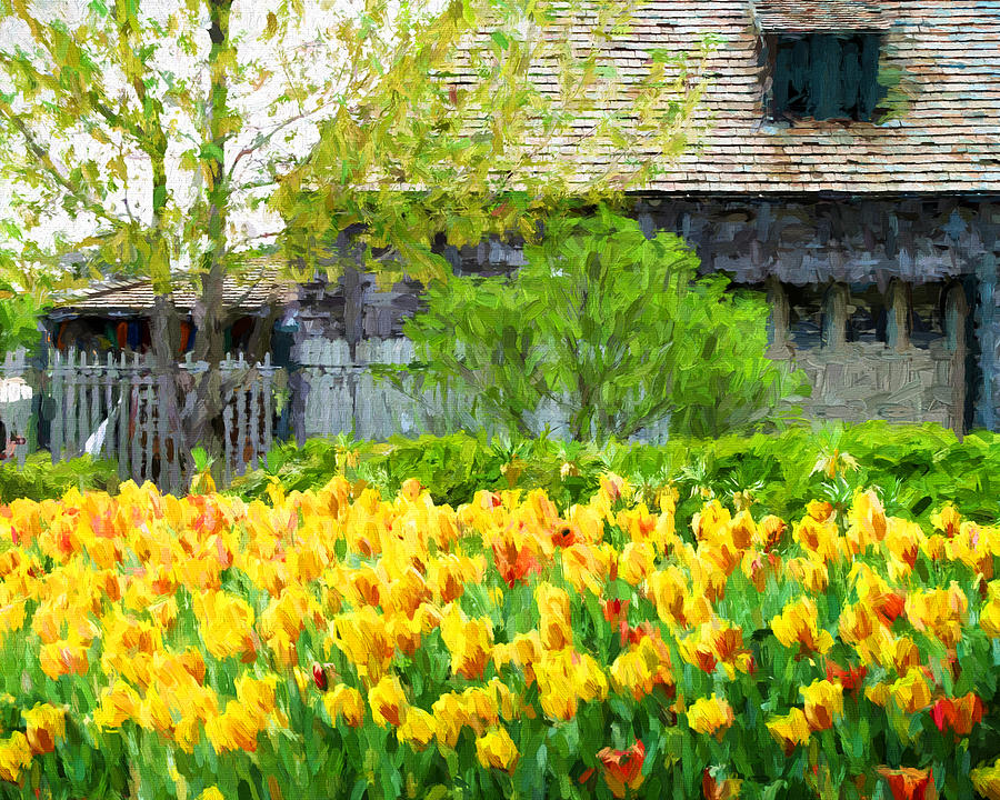 Tulip Photograph - The Boat House in Forest Park by John Freidenberg