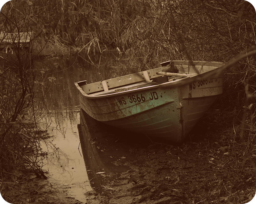 The Boat Photograph by Mark Salamon