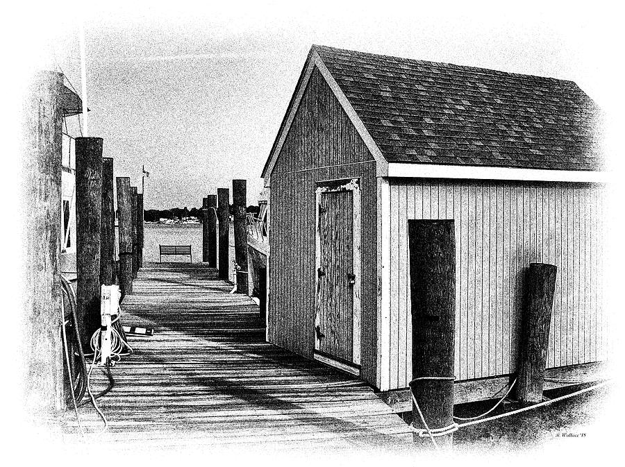 The Boat Shed Photograph by Brian Wallace