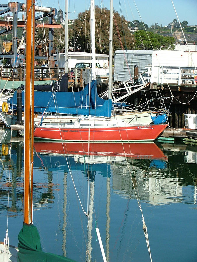 The Boats of Sausilito Photograph by Donna Thomas