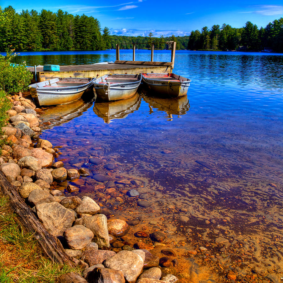Tree Photograph - The Boats on White Lake by David Patterson