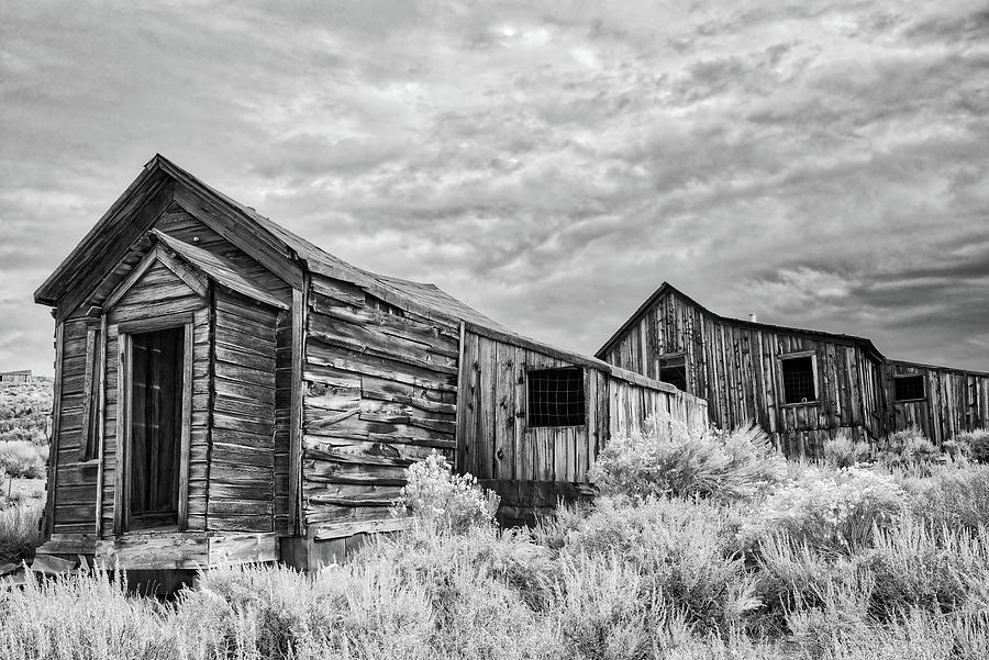 The Bodie Bungalows in Black and White Photograph by Lynn Bauer