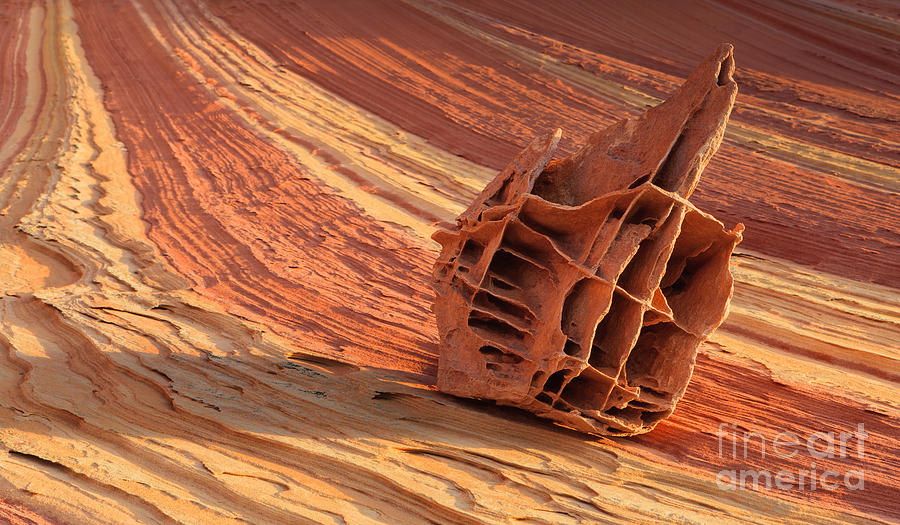 The Bone Yard in the North Coyote Buttes, Arizona Photograph by Henk Meijer Photography