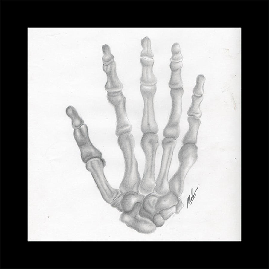 The bones of the hand Drawing by Mark Olson - Fine Art America