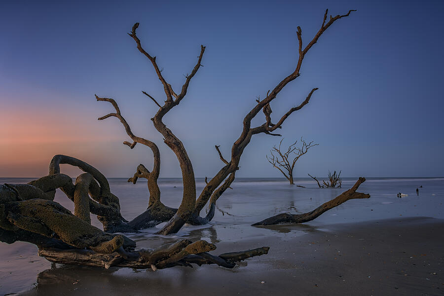 Beach Photograph - The Boneyard at Botany Bay by Rick Berk