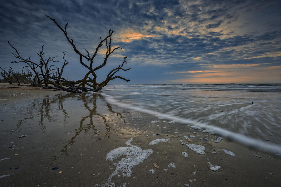 Beach Photograph - The Boneyard Beach by Rick Berk