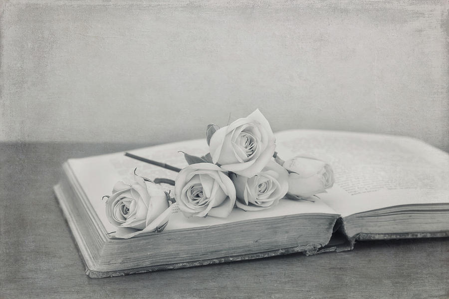 The Book of Love Photograph by Kim Hojnacki
