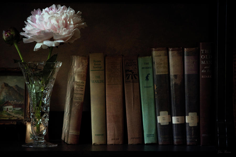 The Book Shelf Photograph by John Rivera