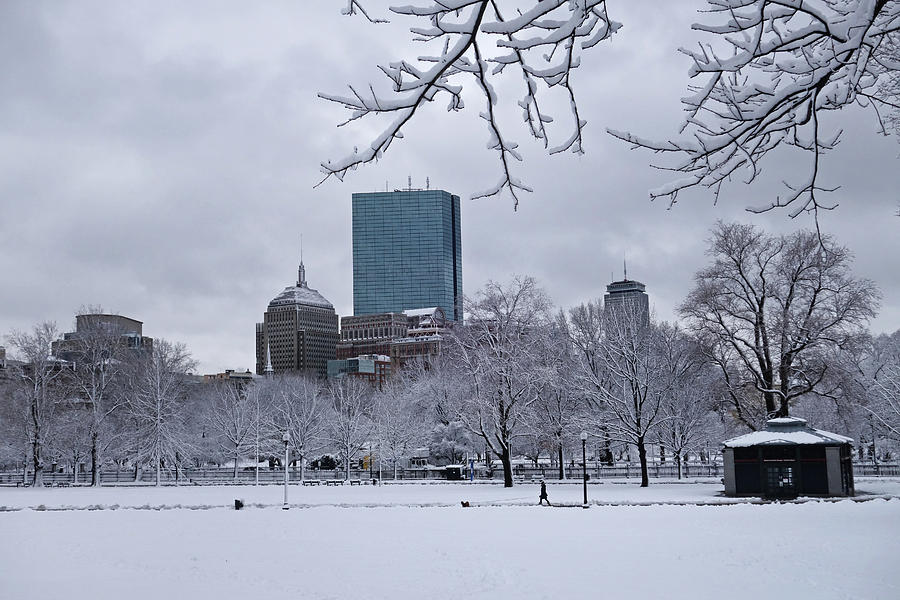 The Boston Common Covered in Snow Winter Boston MA Photograph by Toby McGuire