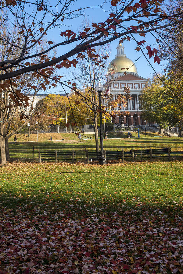 The Boston Statehouse. Autumn in the Public Garden Photograph by Toby McGuire
