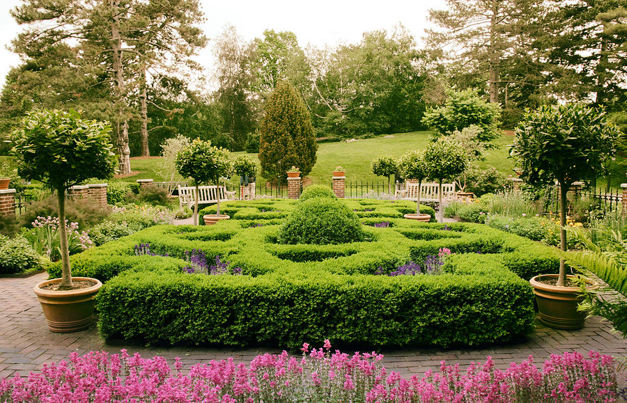 The Botanical Herb Garden Photograph by Jessica Jenney