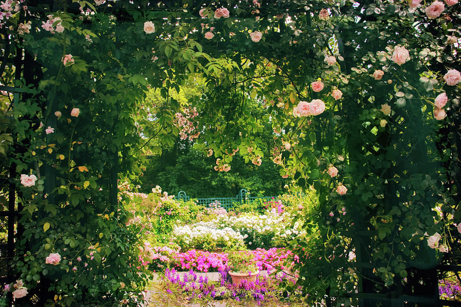 The Bountiful Garden Photograph by Jessica Jenney | Fine Art America