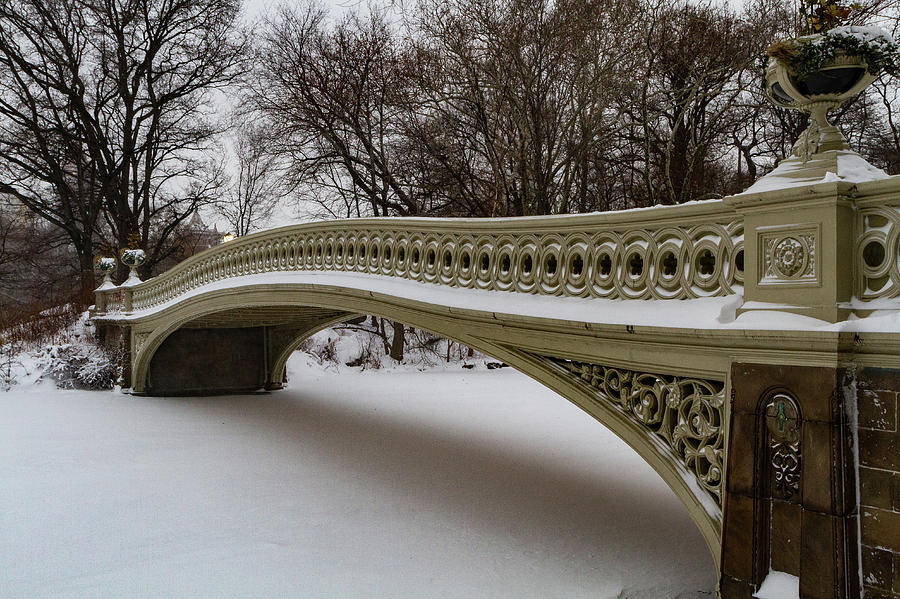 Central Park Photograph - The Bow Bridge by Maggie Guardino