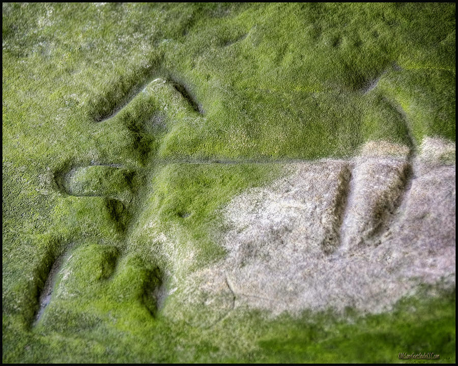 The Bow Man Sanilac Petroglyphs Historic State Park Photograph By