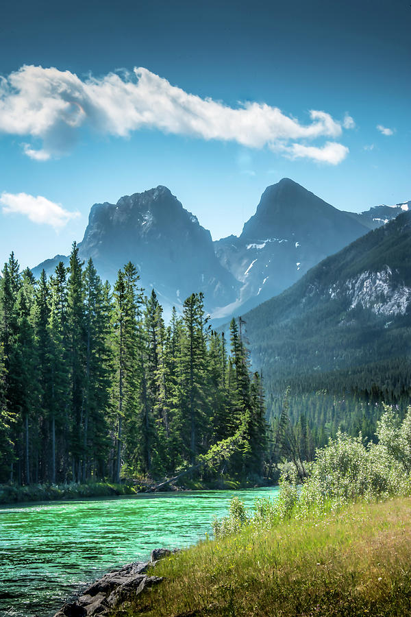Tree Photograph - The Bow River at Canmore by Phil And Karen Rispin