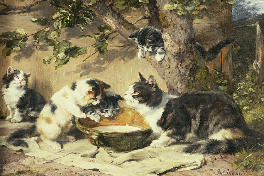 Cat Painting - The Bowl of Milk by Julius Adam