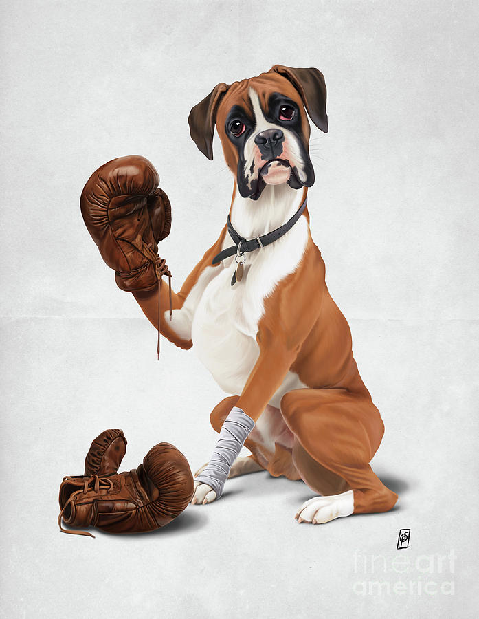 The Boxer Wordless Digital Art by Rob Snow