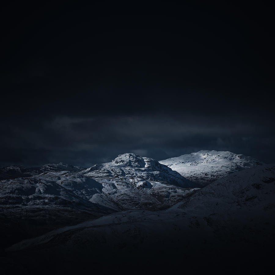 Nature Photograph - Winter Landscape at Night in Dark Blue by Kate Morton