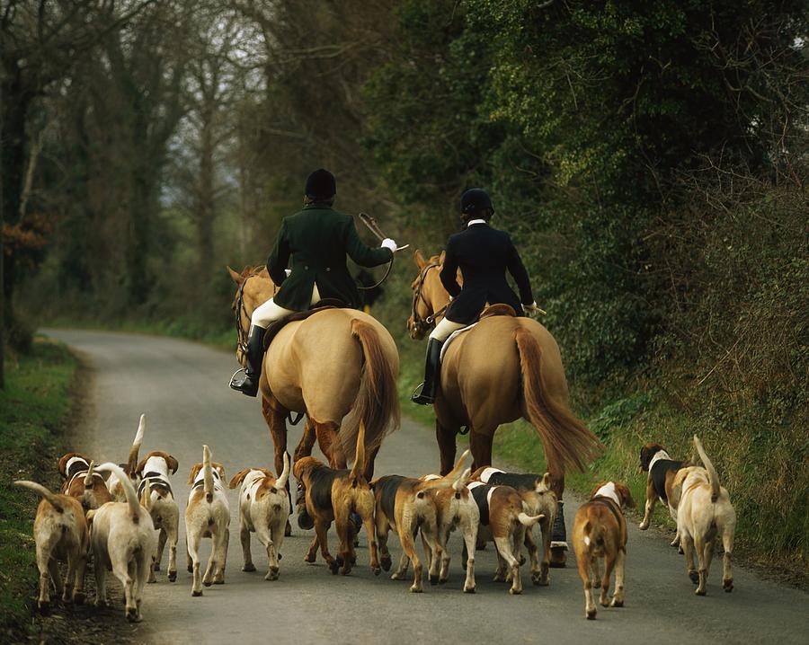 The Bray Harriers, Co Wicklow, Ireland Photograph by The Irish Image Collection 