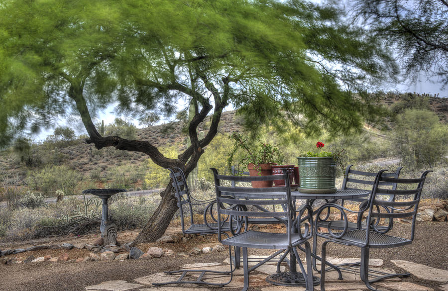 Tree Photograph - The Breakfast Nook by Phil And Karen Rispin