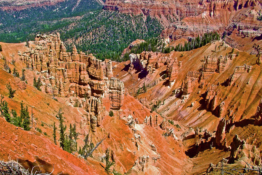 The Breaks on Ramparts Trail in Cedar Breaks National Monument, Utah Photograph by Ruth Hager