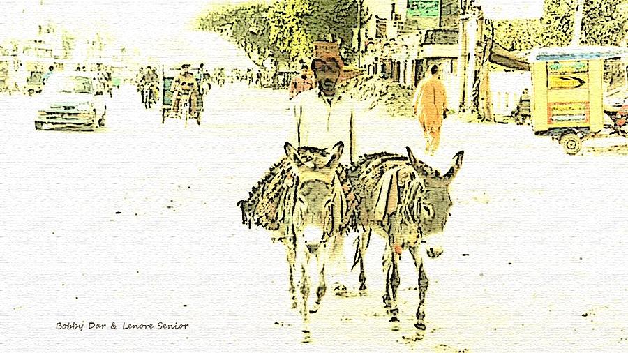 Donkey Photograph - The Brick Seller by Lenore Senior