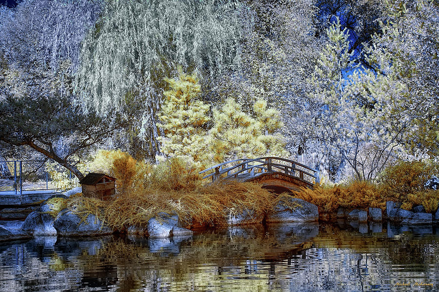 The Bridge and the Pond Photograph by Michael McKenney