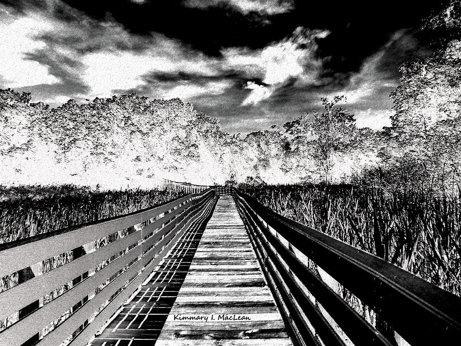 The Bridge Digital Art by Kimmary MacLean