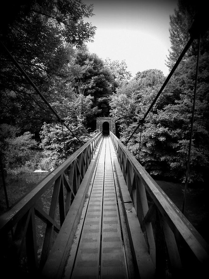 The bridge Photograph by Lukasz Ryszka