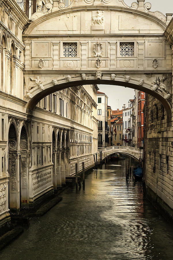 The Bridge of Sighs by Douglas Tate The Bridge of Sighs by Douglas Tate