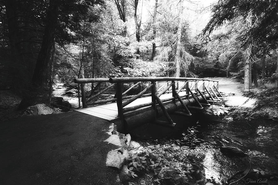 The Bridge Through the Woods in Black and White Photograph by Trina Ansel