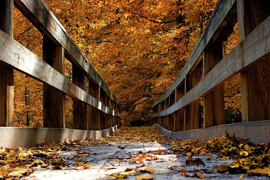 The Bridge to Autumn Photograph by Mitch Spence