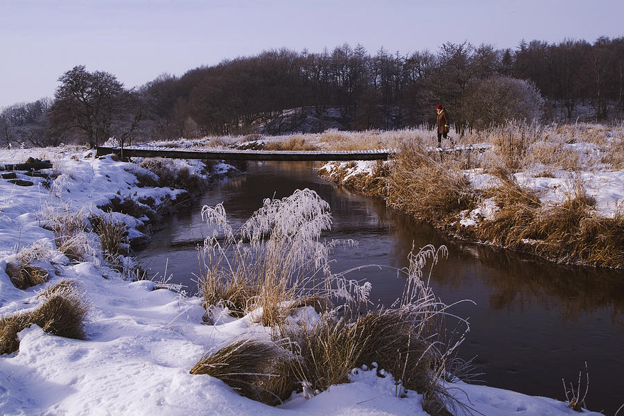 Winter Photograph - The Bridge by Wedigo Ferchland