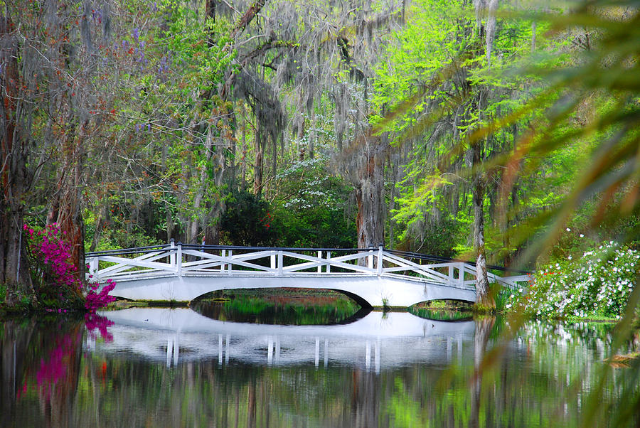 The bridges in Magnolia Gardens Photograph by Susanne Van Hulst